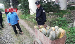 保山吃瓜最新事件爆料,最新爆料揭秘惊人内幕